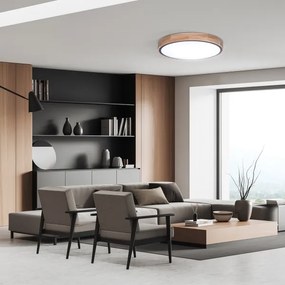 Solight WO8005 - Lampada LED dimmerabile IRON OAK 48W/230V 3000-6500K Ø40 cm+DO