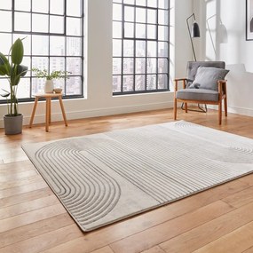 Tappeto grigio/beige 220x160 cm Apollo - Think Rugs