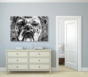 Stampa su tela – Bulldog in bianco e nero
