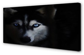 Quadro su tela Eyes Wolf 100x50 cm