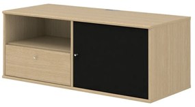 Cassettiera TV rivestita in rovere 222 Mistral - Hammel Furniture