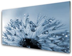 Quadro vetro acrilico Gocce di fiori di tarassaco 100x50 cm