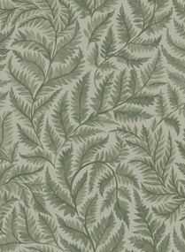 Boråstapeter Tapete Ferns - 7792