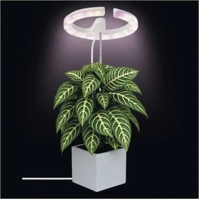 Lampada LED dimmerabile da interno per la coltivazione di piante GROW LED/8W/5V