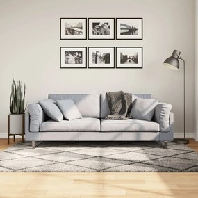 Tappeto Shaggy Pamplona Pelo Lungo Beige E Antracite 140x200cm /