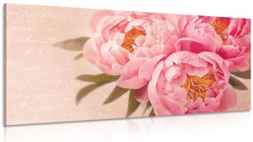Stampa su tela – Peonia delicata