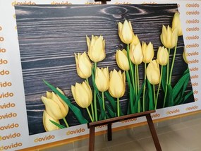 Quadro su tela – Incantevoli tulipani gialli su sfondo di legno