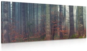 Quadro su tela – Mistero della foresta
