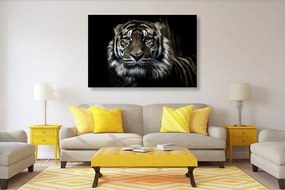 Stampa su tela – Tigre