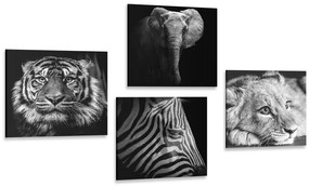 Set di quadri – Animali selvatici in bianco e nero