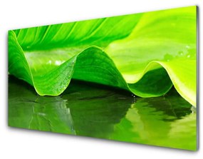 Quadro acrilico Foglia di piante naturali 100x50 cm