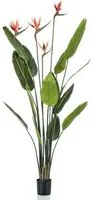 Emerald Pianta Artificiale di Strelitzia con 4 Fiori in Vaso 150 cm 435917