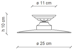 Plafoniera Industrial Potenza Ferro E Ceramica Nero Diam. 25Cm 1 Luce E27