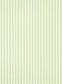 Sanderson Tapete New Tiger Stripe - Leaf Green/ Ivory