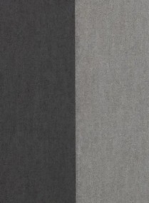 Flamant Carta da parati Grande Stripe - Noir de Lune et Dauphin