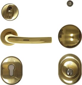 Kit Maniglia E Accessori Per Porta Blindata Cilindro Europeo BLINDO Ottone Lucido