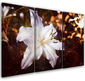 Quadro su tela 3 pannelli, Lily bianco su uno sfondo marrone