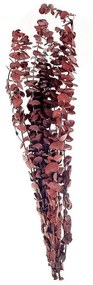 Mazzo fiori secchi rosso scuro 56 cm BADAJOZ Beliani