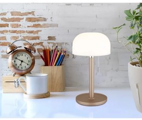 Globo 21016CH - Lampada da tavolo LED NORMAN LED/1,5W/3,7V 3000/4200/6000K marrone