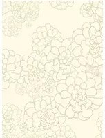 Paint & Paper Library Carta da parati Aeonium - Wattle