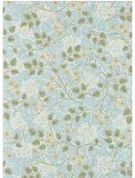 Sanderson Carta da parati Silver Lime - Mineral & Gooseberry