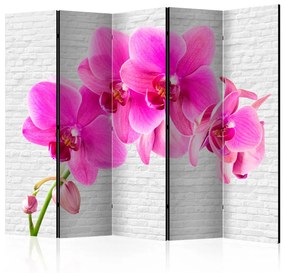 Paravento Stimolo Rosa II - Orchidea rosa su sfondo di mattoni bianchi