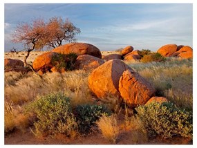 Fotomurale Paesaggio africano, Namibia