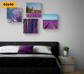 Set di quadri – Campo di lavanda con astrazione
