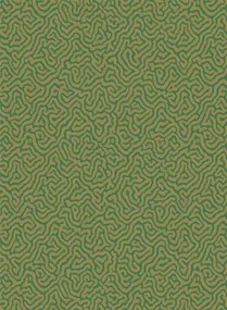 Cole & Son Carta da parati Vermicelli - Green/ Gold