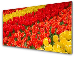 Quadro vetro Fiori di tulipani 100x50 cm