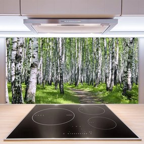 Pannello paraschizzi cucina Alberi del percorso della natura della foresta 100x50 cm