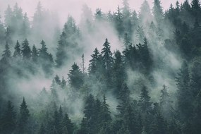 Quadro su tela – Montagne nella nebbia