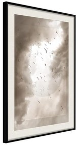 Poster  Disturbed Flight  Cornice Quadri Cornice nera con pass-partout, Larghezza x Altezza Home decor 20x30