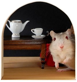 Adesivo per il buco del mouse - Ambiance