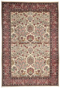 Sarouk Tappeto 300 x 210 (Iran) Annodato A Mano