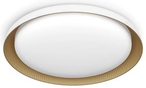 Philips - Plafoniera LED dimmerabile PEBBLO LED/10W/230V 4000K bianco