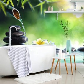 Carta da parati – Armonia nel giardino Zen