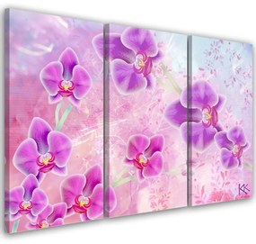 Quadro su tela 3  pannelli, Astrazione dei fiori di orchidea  Dimensioni 150x100