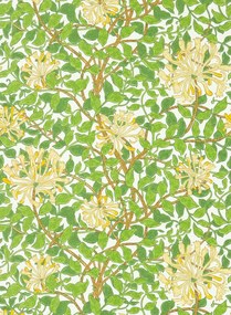 Morris & Co Carta da parati Honeysuckle - Cream/ Chocolate