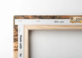 Quadro su tela – Antilope africana