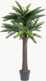 Pianta artificiale da esterno Palma Cycas, alt. 190 cm