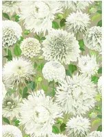 Harlequin Carta da parati Dahlia - Sail Cloth/ Meadow/ Gilver