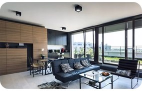 Faretto CHLOE AR111 1xGU10/50W/230V quadrato nero