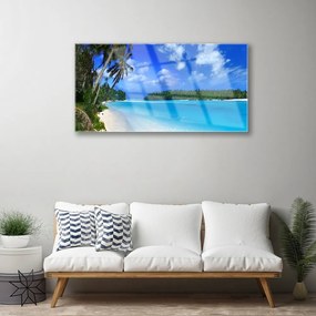 Quadro su vetro acrilico Mare di Palm Beach 100x50 cm