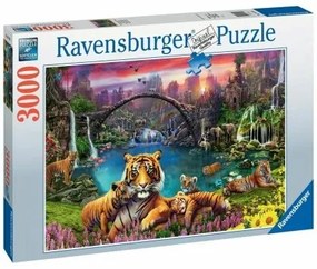 Puzzle Ravensburger Tigers in the lagoon 3000 Pezzi
