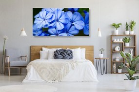 Stampa su tela – Fiori blu pittoreschi