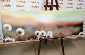 Quadro su tela – Panorama di prato fiorito