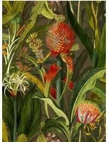 Arte International Carta da parati Blooming Pineapple - Cardinal