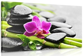 Stampa su tela – Natura morta Spa con orchidea viola