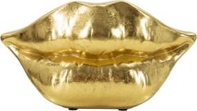 Vaso Mouth Lip Cm 23X8X12